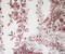 White-Red Nylon Floral Paisley Vine Printed Lace Mesh Knit Fabric By the Yard